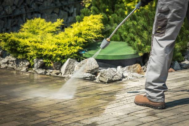 Best Gutter Cleaning  in Black Hammock, FL
