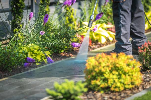 Best Animal Enclosure Cleaning  in Black Hammock, FL