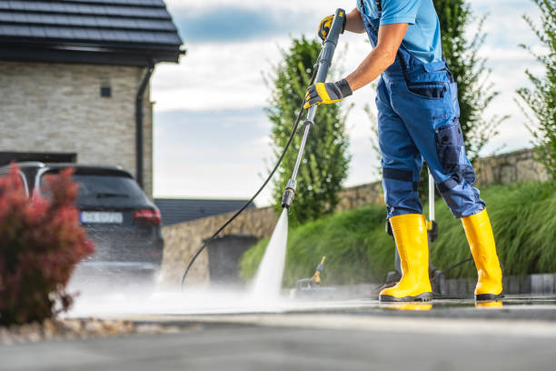 Best Building Exterior Washing  in Black Hammock, FL